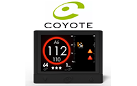 Coyote
