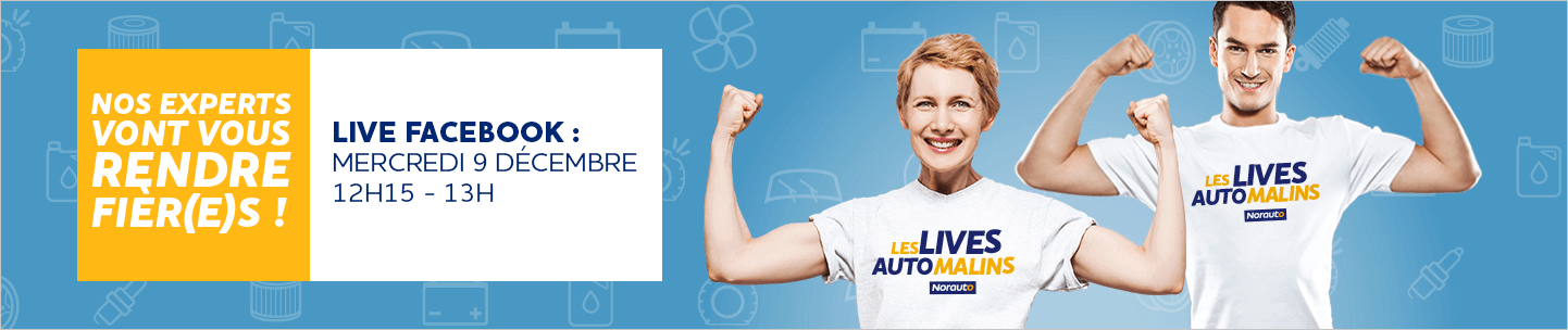 Lives automalins