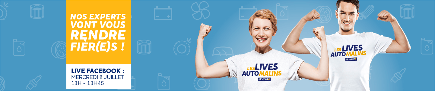Lives automalins