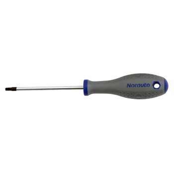 Tournevis Torx T25 NORAUTO