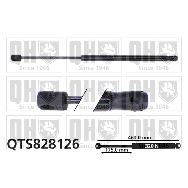 Vérin de coffre QUINTON HAZELL QTS828126